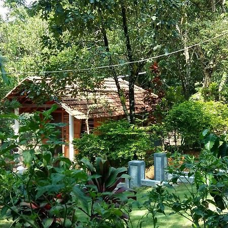 Leisure Vacations Whispering Woods Hotel Madikeri Kültér fotó