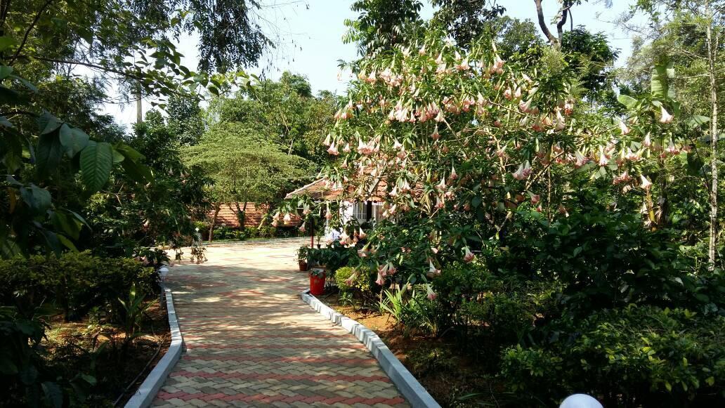 Leisure Vacations Whispering Woods Hotel Madikeri Kültér fotó