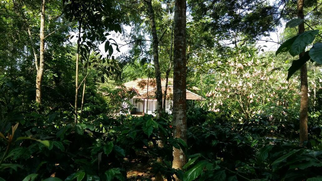 Leisure Vacations Whispering Woods Hotel Madikeri Kültér fotó