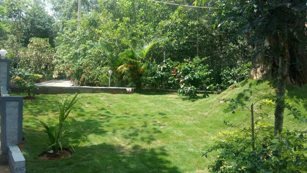 Leisure Vacations Whispering Woods Hotel Madikeri Kültér fotó